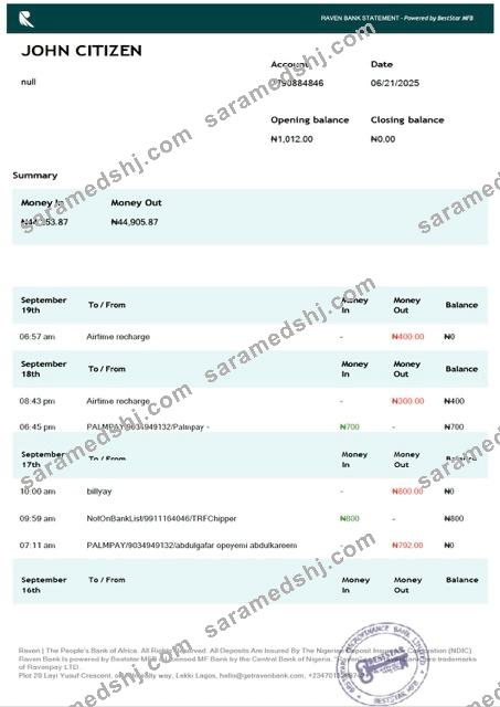 Nigeria Raven Bank statement Word and PDF template